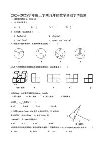 +黑龙江省哈尔滨市道里区2024-2025学年九年级上学期数学开学测试卷+