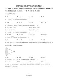 湖南长沙长郡外国语学校2024-2025学年九年级上学期入学考试数学试题+答案