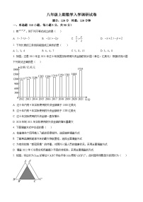 湖南省长沙市一中雨花新华都学校2024-2025学年八年级上学期开学考试数学试题（原卷版+解析版）