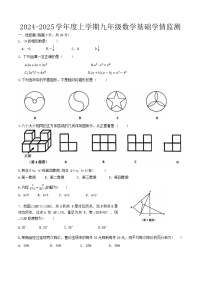 黑龙江省哈尔滨市道里区2024-2025学年九年级上学期开学测试数学试卷