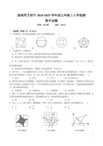 2024-2025湖南师大附中本部九上入学考试数学试卷