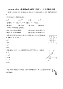 2024-2025学年安徽省淮南市高新区九年级（上）开学数学试卷（含解析）