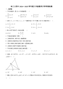 黑龙江省哈尔滨工业大学附属中学校2024-2025学年八年级上学期开学测数学试题（原卷版+解析版）