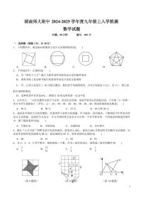 湖南师大附中2024-2025学年九年级上学期入学考试数学试卷