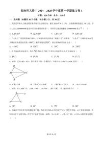 湖南师范大学附属中学2024年八年级上学期入学考试数学试题+答案