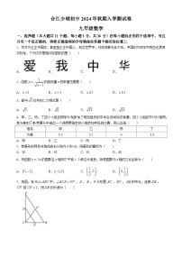 四川省泸州市合江少岷初中2024-2025学年九年级上学期开学考试数学试题