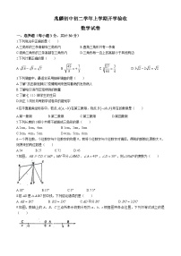 黑龙江省哈尔滨市双城区兆麟初级中学2024-2025学年八年级上学期开学考试数学试题(无答案)