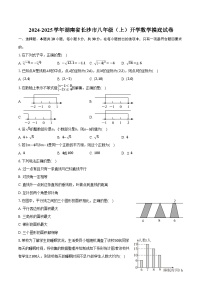 2024-2025学年湖南省长沙市八年级（上）开学数学摸底试卷（含解析）