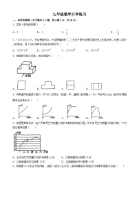 江西省赣州市南康区部分学校2024-2025学年九年级上学期开学考试数学试题(无答案)