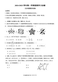 广东省深圳中学2024-2025学年九年级上学期开学数学试题