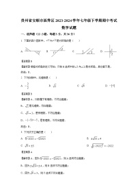 [数学]贵州省安顺市西秀区2023-2024学年七年级下学期期中考试试题(解析版)