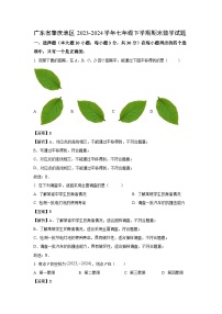 [数学]广东省肇庆地区2023-2024学年七年级下学期期末试题(解析版)