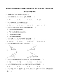 湖南省长沙市开福区青竹湖湘一外国语学校2024-2025学年八年级上学期数学开学模拟试卷