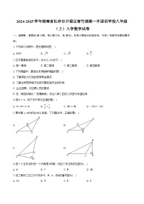 2024-2025学年湖南省长沙市开福区青竹湖湘一外国语学校八年级（上）入学数学试卷（含解析）