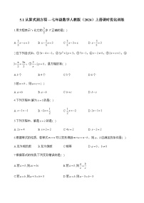 初中数学人教版（2024）七年级上册（2024）5.1 方程课时作业