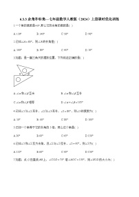 初中数学6.3 角综合训练题