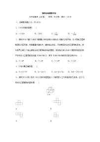 人教版（2024）2024-2025学年七年级数学上册课时优化训练期末综合素质评价（含答案）