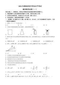 [数学]2024年湖南省初中学业水平考试联考试题(一)(有答案)