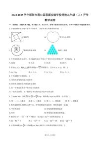 [数学]2024～2025学年湖南省邵阳市洞口县思源实验学校等校九年级(上)开学试卷(有答案)