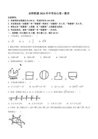 [数学]2024年安徽省安师联盟中考模拟安心卷(有答案)