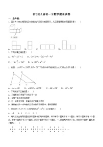 重庆市西南大学附属中学校2022-2023学年七年级下学期期末数学试题