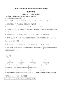 安徽省六安市2024-2025学年九年级上学期开学诊断数学试题(无答案)