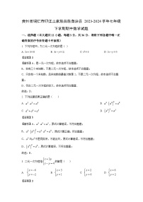 [数学][期中]贵州省铜仁市印江土家族苗族自治县2023-2024学年七年级下学期期中试题(解析版)