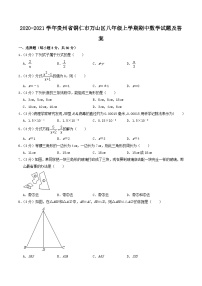 2020-2021学年贵州省铜仁市万山区八年级上学期期中数学试题及答案