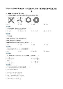 2020-2021学年河南省周口市项城市八年级下学期期中数学试题及答案