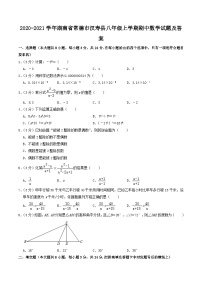 2020-2021学年湖南省常德市汉寿县八年级上学期期中数学试题及答案