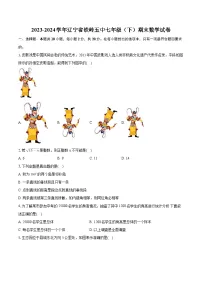 辽宁省铁岭市第五中学2023-2024学年七年级下学期期末考试数学试卷