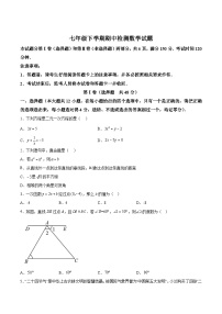 山东省泰安市新泰市（五四制）2023-2024学年七年级下学期4月期中考试数学试卷(含解析)