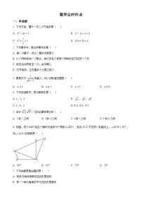 重庆市第十八中学2024-2025学年九年级上学期入学数学定时作业试题（原卷版+解析版）