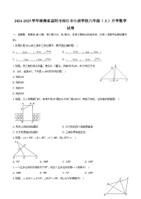 2024-2025学年湖南省益阳市沅江市小波学校八年级（上）开学数学试卷(含解析）