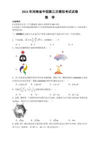 河南省信阳市罗山县2024届九年级下学期中考三模数学试卷(含答案)