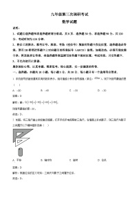 山东省枣庄市薛城区2024届九年级下学期中考三模数学试卷(含解析)