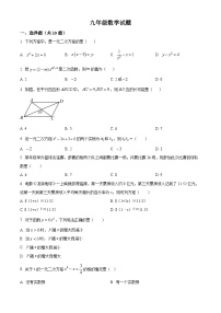 河南省息县部分学校2024-2025学年九年级上学期开学考试数学试题（原卷版+解析版）