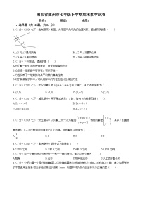 湖北省随州市2023-2024学年七年级下学期期末数学试题