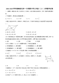 2024-2025学年湖南省长沙一中芙蓉中学九年级（上）入学数学试卷（含解析）