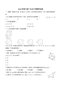 2024年四川省广元市中考数学试卷（含详细答案解析）