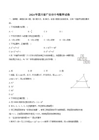 2024年四川省广安市中考数学试卷（含详细答案解析）