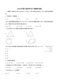 2024年四川省泸州市中考数学试卷（含详细答案解析）