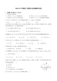 湖南省长沙市麓山外国语实验中学2024-2025学年九年级上学期入学考试数学试卷