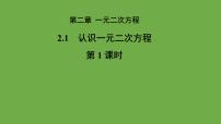 初中数学北师大版（2024）九年级上册第二章 一元二次方程1 认识一元二次方程教学ppt课件
