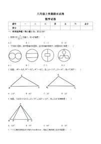 八年级上学期期末数学试题