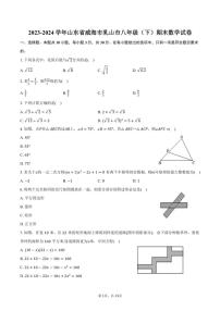 [数学][期末]2023～2024学年山东省威海市乳山市八年级(下)期末试卷(鲁教版)(有详解)