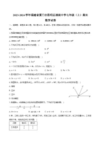 2023-2024学年福建省厦门市思明区湖滨中学七年级（上）期末数学试卷（含答案）