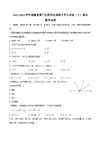 2023-2024学年福建省厦门市思明区湖滨中学七年级（上）期末数学试卷（含解析）