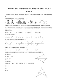 2023-2024学年广东省深圳市宝安区富源学校七年级（下）期中数学试卷（含答案）