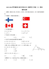 2023-2024学年黑龙江省齐齐哈尔市三校联考八年级（上）期末数学试卷（含答案）